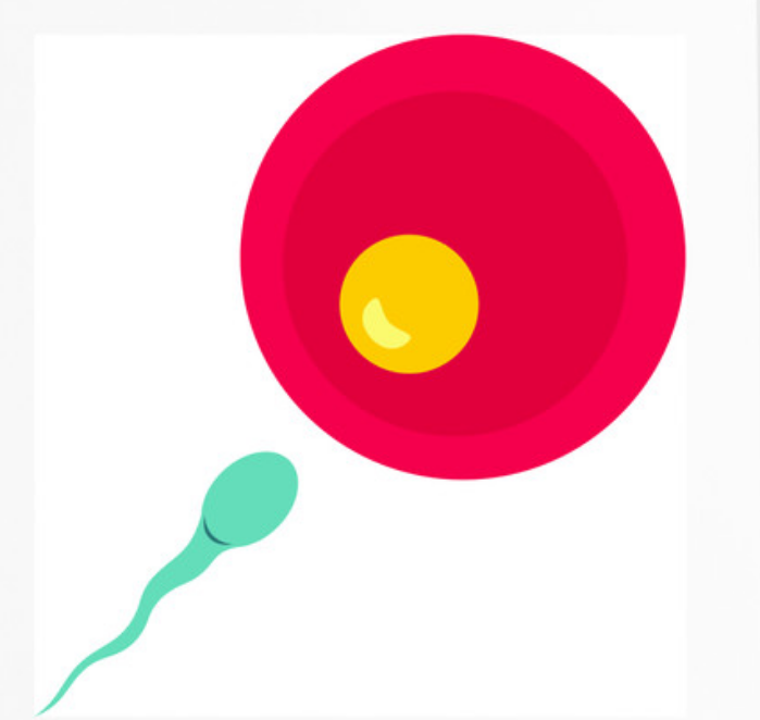 西安代孕哪家中心好,如何提高西安助孕试管婴儿胚胎植入的几率？