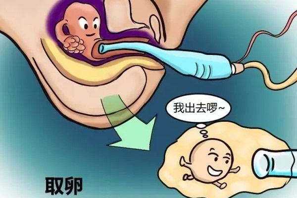 四方区代怀小孩电话,试管移植后什么时候有胎芽_南京哪家医院可以做供卵-21号