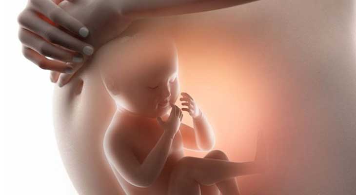 怀孕胚胎不发育_少精能不能怀孕_哪些食物有助孕妈妈预防疾病
