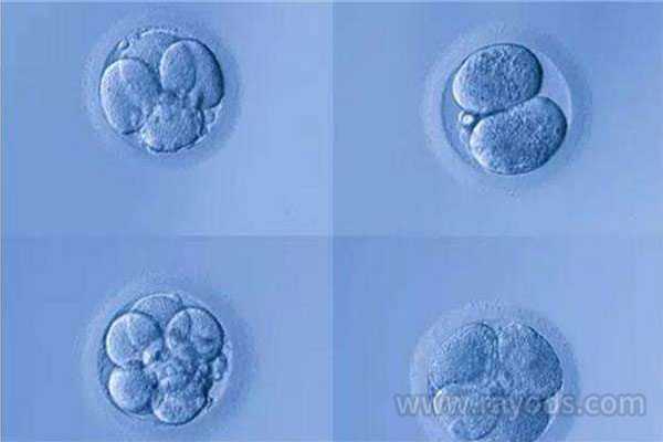 宣武借卵代生子价格_宣武’代生的价格_试管助孕过程中，囊胚培养有什么优势