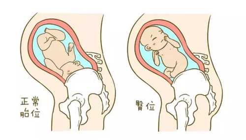 珠海供卵的医院_试管婴儿怀孕后可以吃茄子吗