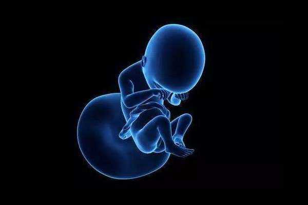佳木斯哪里有靠谱的代孕女_广州试管婴儿生化妊娠做什么检查