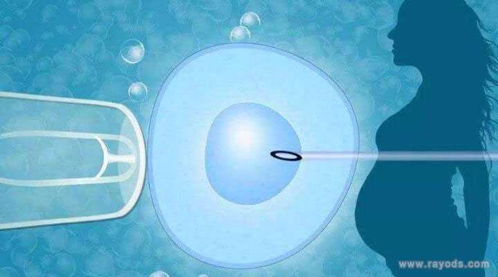 借卵生子的经验_2021年国内正规的供卵，生殖，试管婴