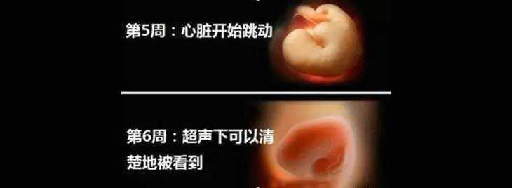 合浦县职业供卵代孕_试管婴儿移植后孕酮低，需要紧张吗？