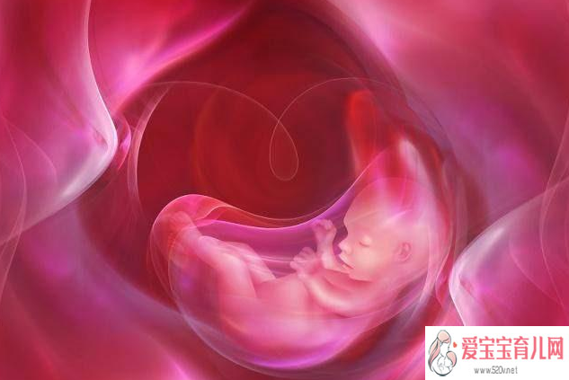 子宫切除如何生育_染色体异常生化_试管婴儿移植后几天可以验孕试管婴儿移植