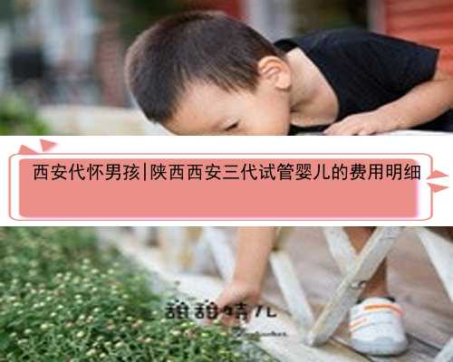 西安代怀男孩|陕西西安三代试管婴儿的费用明细